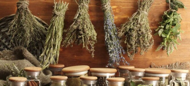 Отвары лекарственных трав для бани