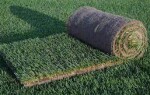 Преимущества рулонного газона